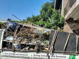 Best Yard Waste Removal in Gadsden, AL